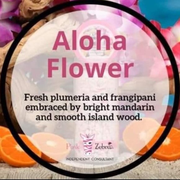 Pink Zebra Aloha Flower - Picture 1 of 1